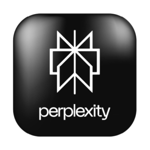 Perplexity