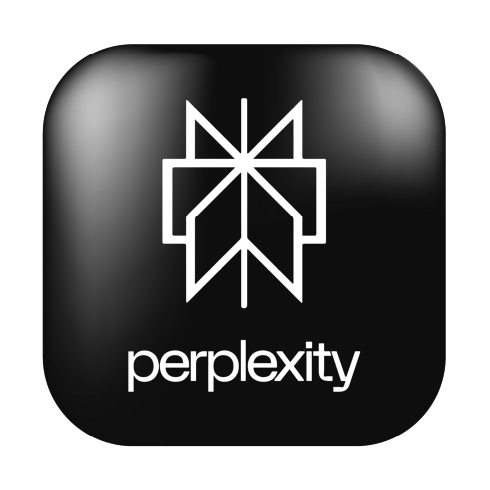 Perplexity